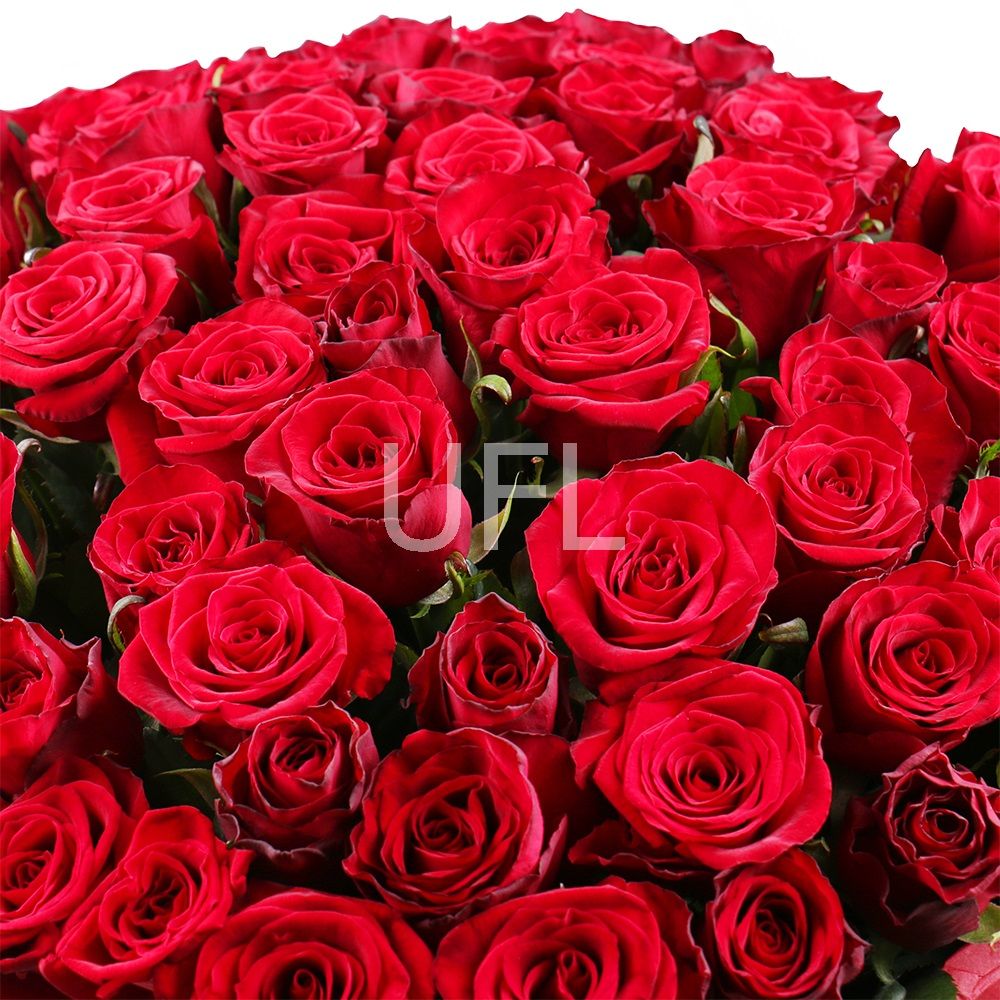 1000 роз - 1001 красная роза 1000 роз - 1001 красная роза
