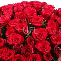 1000 троянд -1001 червона троянда  Малага