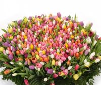  Bouquet 1001 tulips! Priluki
														