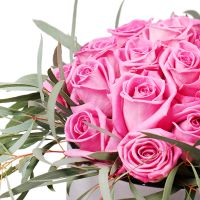 Коробка нежности 21 розовая роза Калдаро