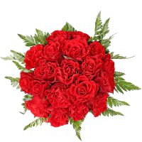 Red roses in a box Kotyuzhany