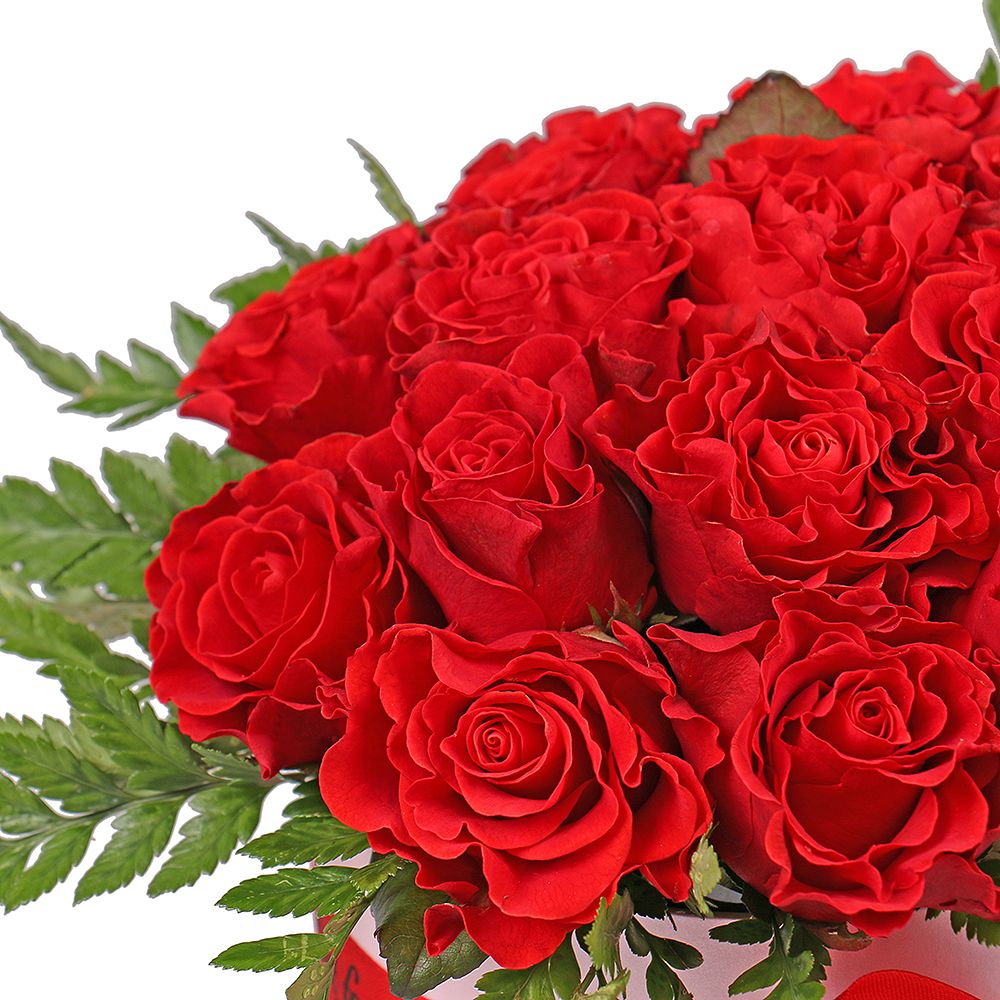 Red roses in a box