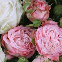 Кустовые розы в коробке Аргенбухл-Еглофс