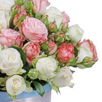Spray roses in a box Kanpur
