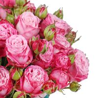 Рожеві кущові троянди в коробці Мідлетон