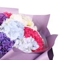 Bouquet of 11 hydrangeas Annisse Nord