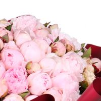  Bouquet 101 peonies Chene-Bougeries
                            