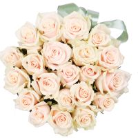 Кремовые розы в коробке 21 шт Фризенхайм