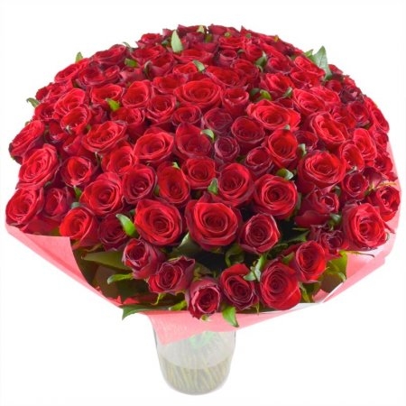 101 light-red roses