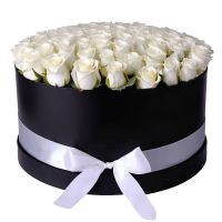 101 white roses in a box Hanmer