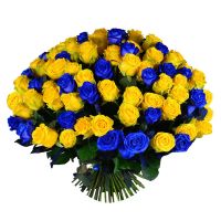 101 жовто-синя троянда Дніпрорудне