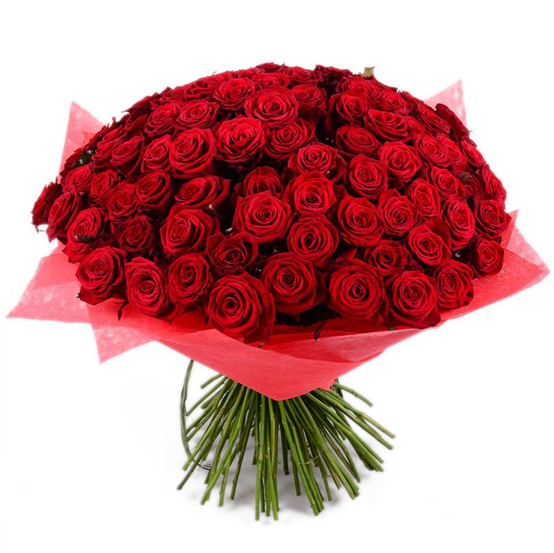 101 red rose Korsun_Shevchenkovskyi
