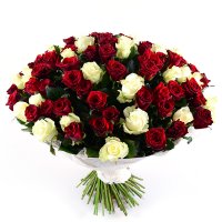 101 red-and-white roses Nikopol (Bulgaria)