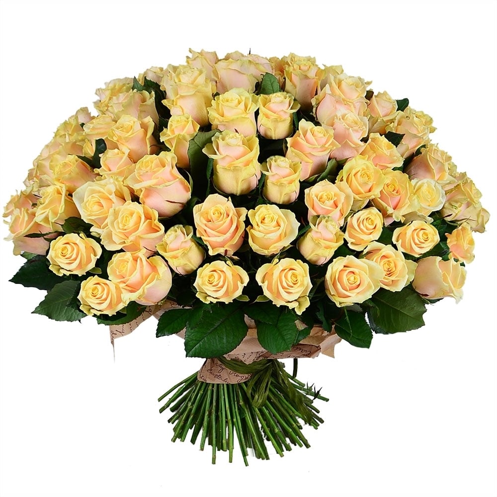Шикарный букет роз 101 кремовая роза Киев