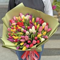 101 разноцветных тюльпанов Щомыслица
