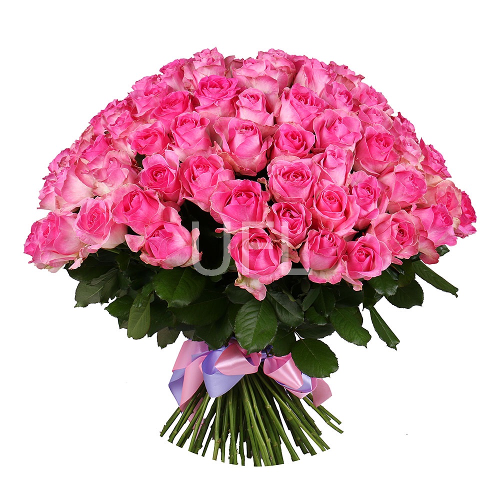 Букет 101 рожева троянда Гаосюнь