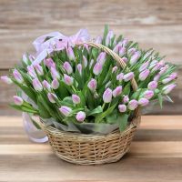 101 tulips in a basket Upper Marlboro