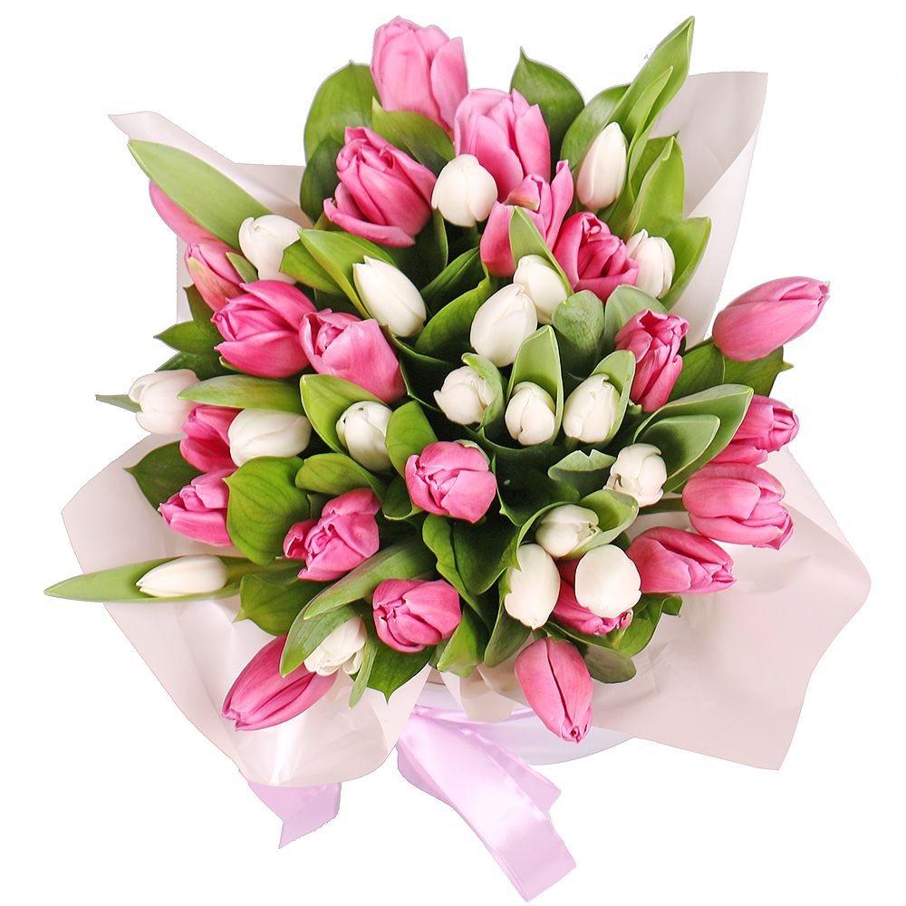 Белые и розовые тюльпаны в коробке Белые и розовые тюльпаны в коробке