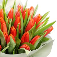 Box with tulips Haradok ру