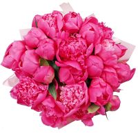 Peony in a box Shumsk