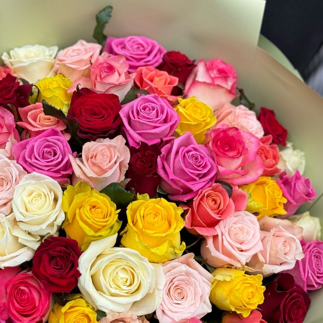 51 разноцветная роза
