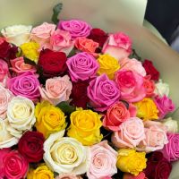 51 разноцветная роза Котяла