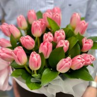 25 рожевих тюльпанів в коробці Белфаст