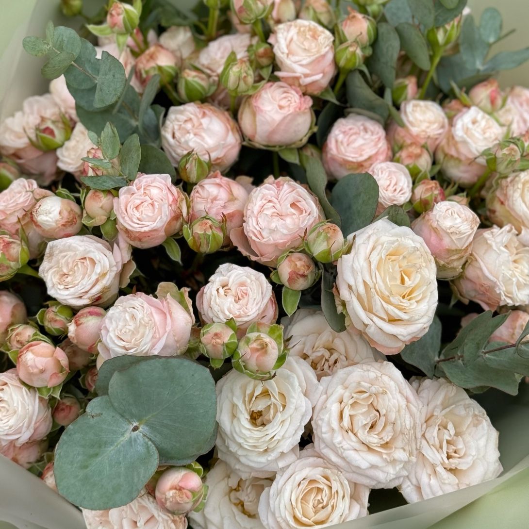 Букет кремовых кустовых роз Букет кремовых кустовых роз