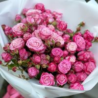 Букет кущових троянд Рожева мрія Чернівецька область