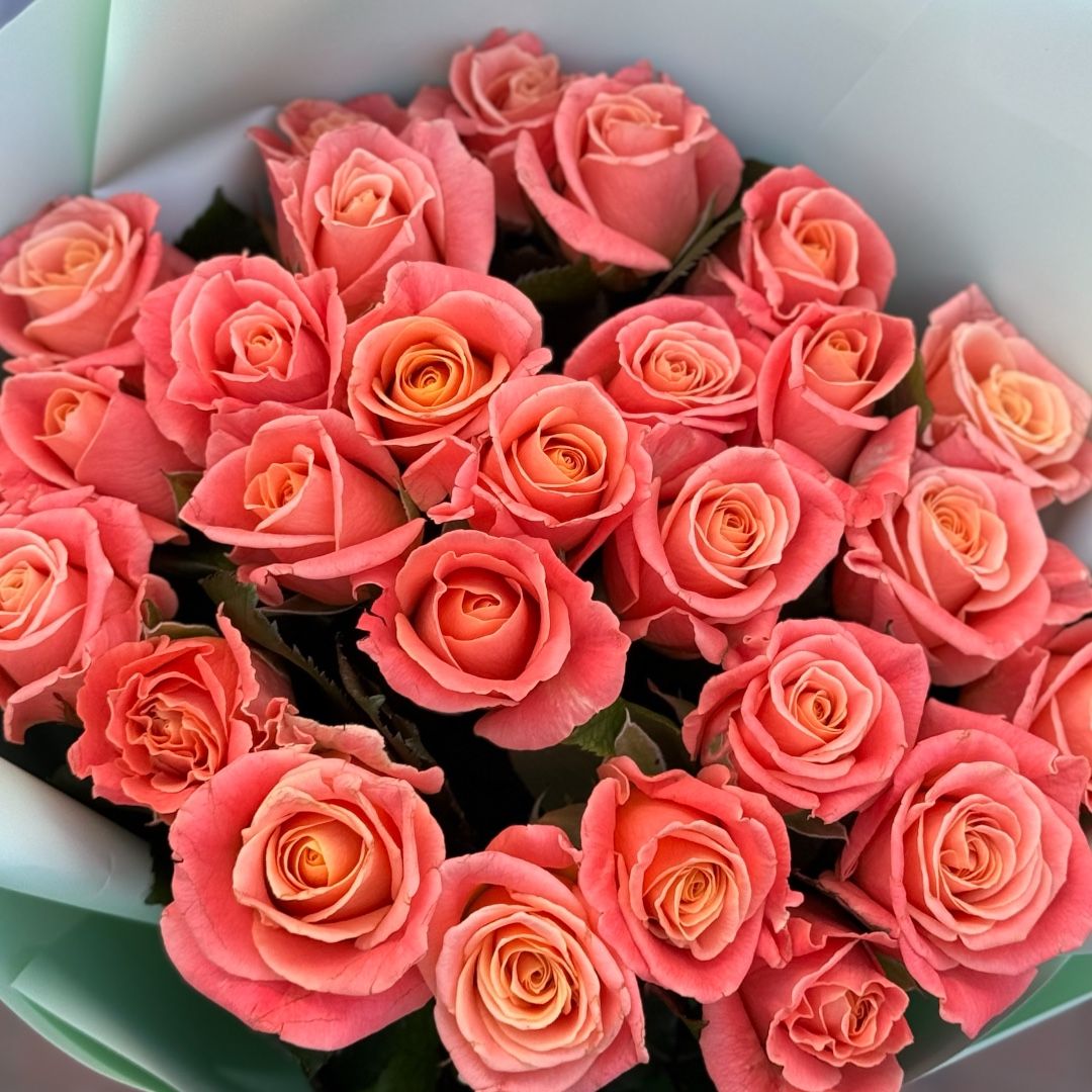 25 coral roses