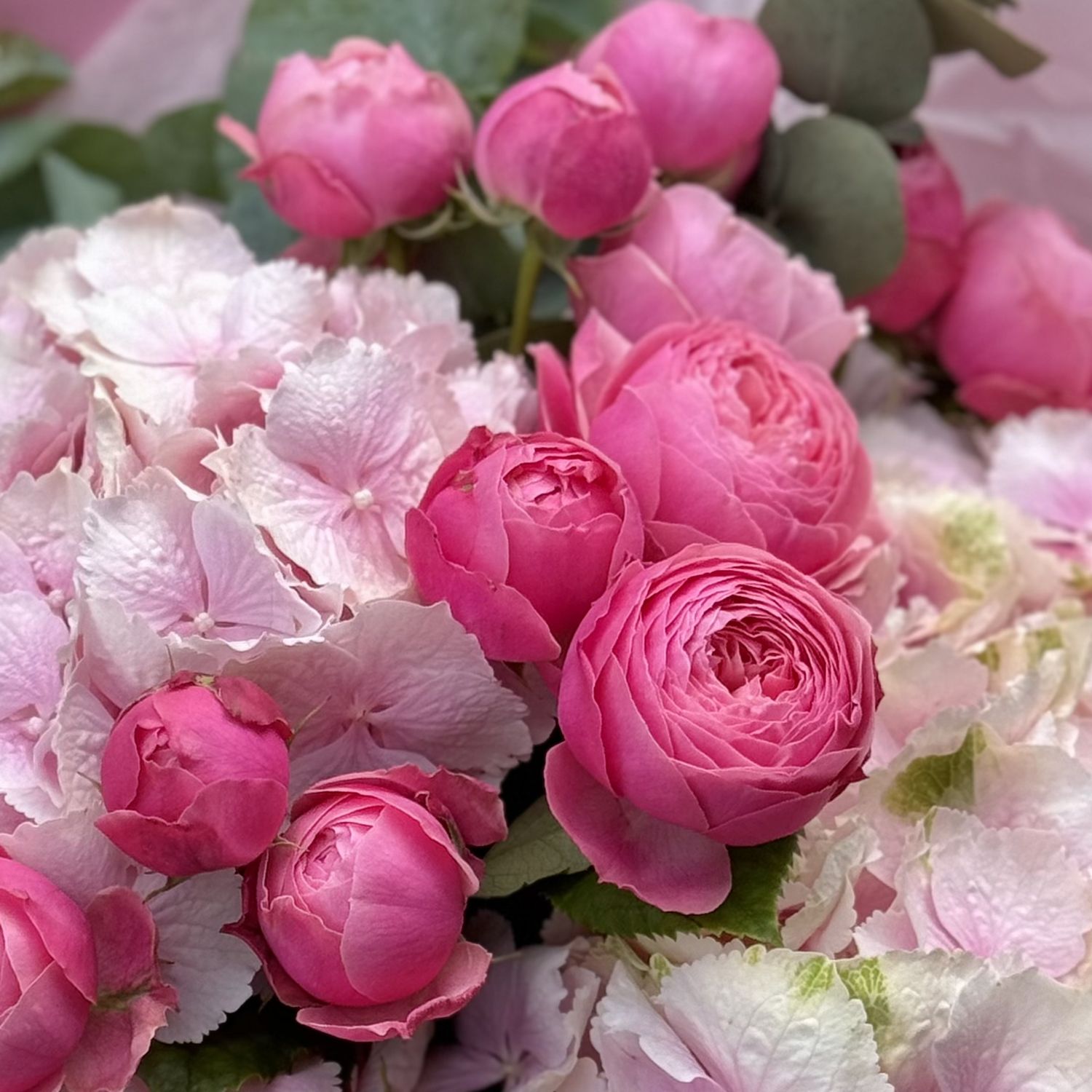 Розовая гортензия и розы