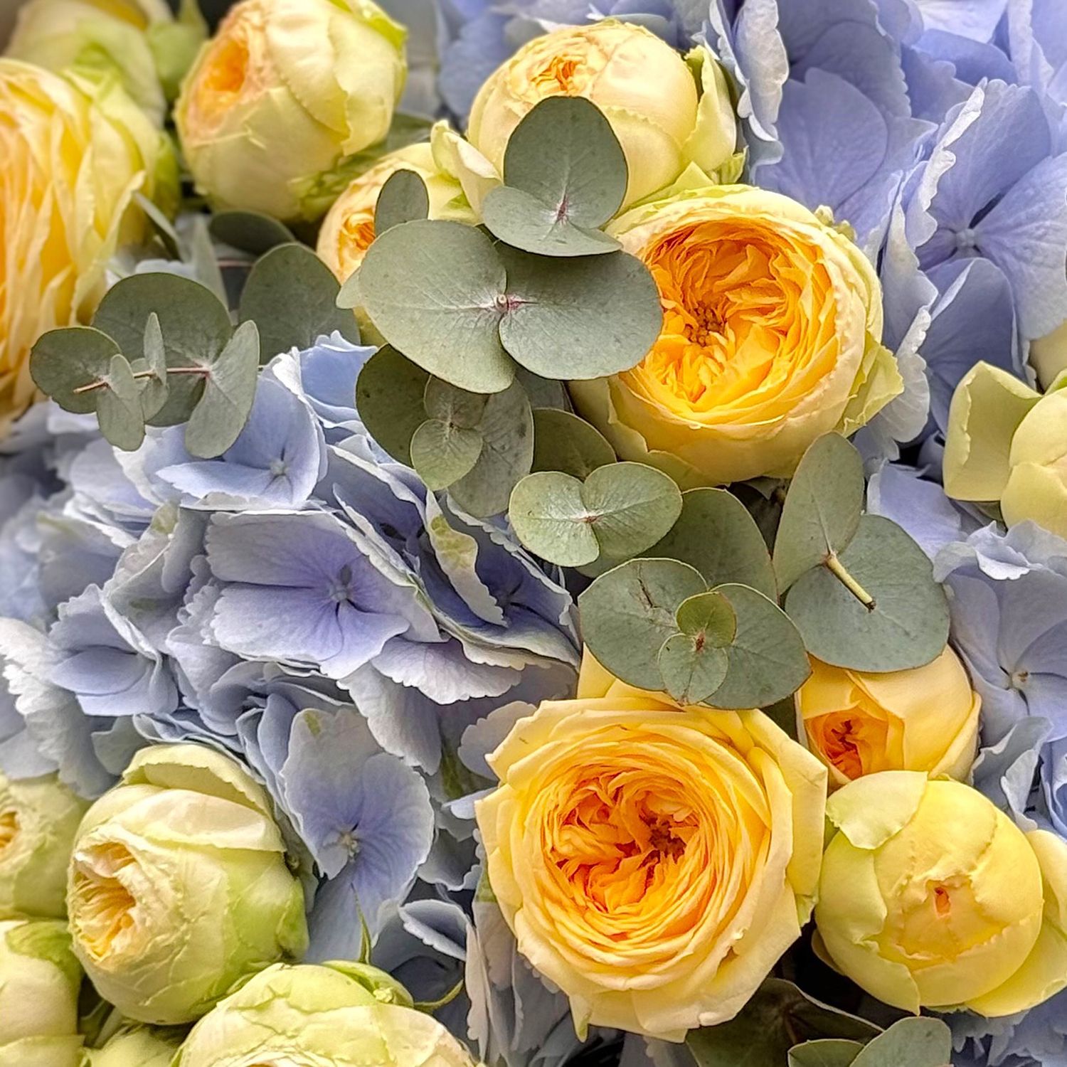 Блакитна гортензія та жовті троянди