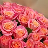 51 coral roses Plzen