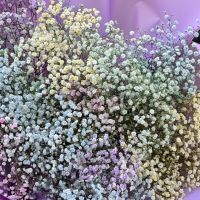 Bouquet of rainbow baby's breath Katzrin