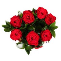 Букет 7 червоних троянд Освідчення Салдус