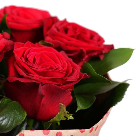 Bouquet of 7 red roses
