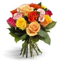 11 різнокольорових троянд Керетаро
