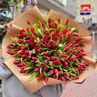 151 red tulips Binghamton