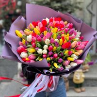 151 разноцветный тюльпан  Сахура