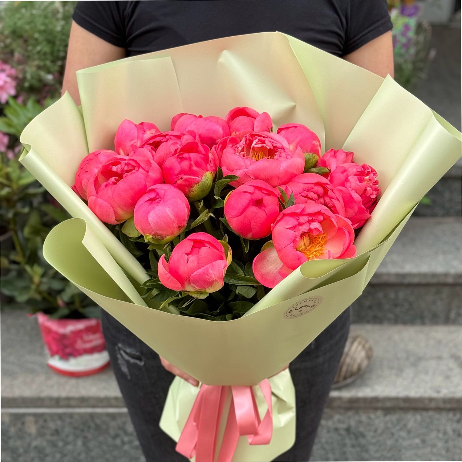 15 coral peonies Urgench