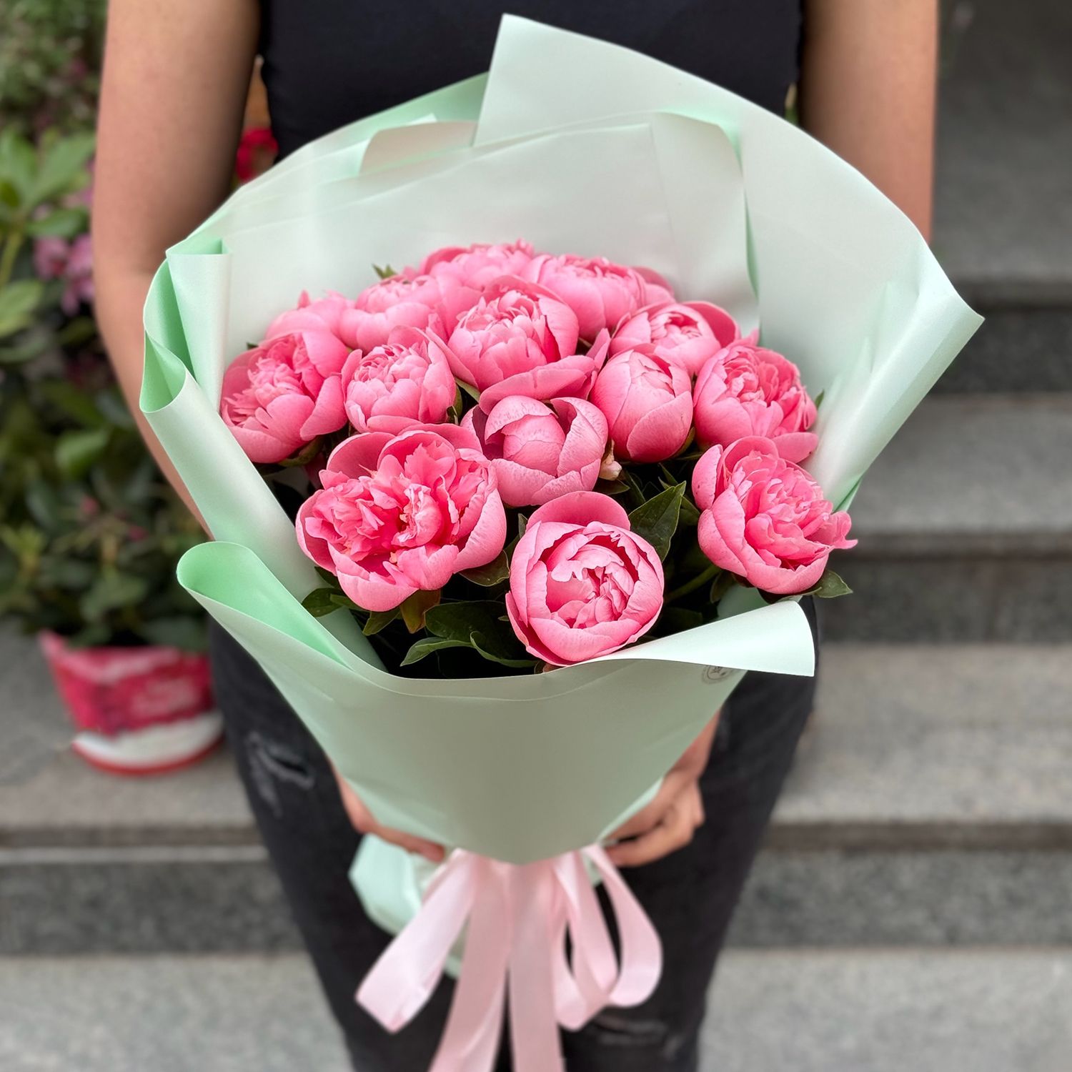 15 pink peonies (imported)
