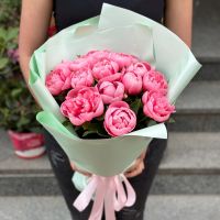 15 pink peonies (imported) Dushanbe