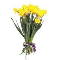  Bouquet 19 daffodils Mogilev
														