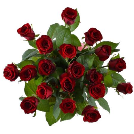 Букет из 19 червоних троянд Глендейл