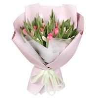 25 white and pink tulips Telsiai