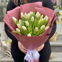 25 белых тюльпанов Крэнлей
