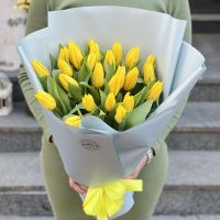 25 желтых тюльпанов Цваненбург