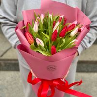 25 червоних та рожевих тюльпанів Лерте