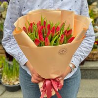 25 червоних тюльпанів Баласінешти
