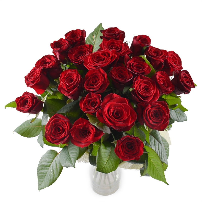 25 red roses Melton